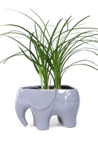 Grey Ceramic Indoor Plant Pot for Succulents - Elephant - handmade by Chive Studio Toronto