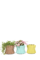 Multicolour Ceramic Modern Planter for Succulents - Fang - handmade by Chive Studio Toronto