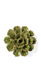 Avocado Green - Petunia - handmade by Chive Studio Toronto