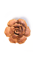 Peach Pink - Solar Carnation - handmade by Chive Studio Toronto