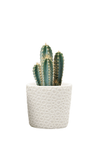 Resin Planter Pot - Stagma - handmade by Chive Stdio Toronto