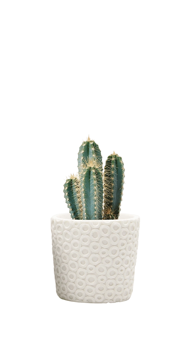 Resin Planter Pot - Stagma - handmade by Chive Stdio Toronto