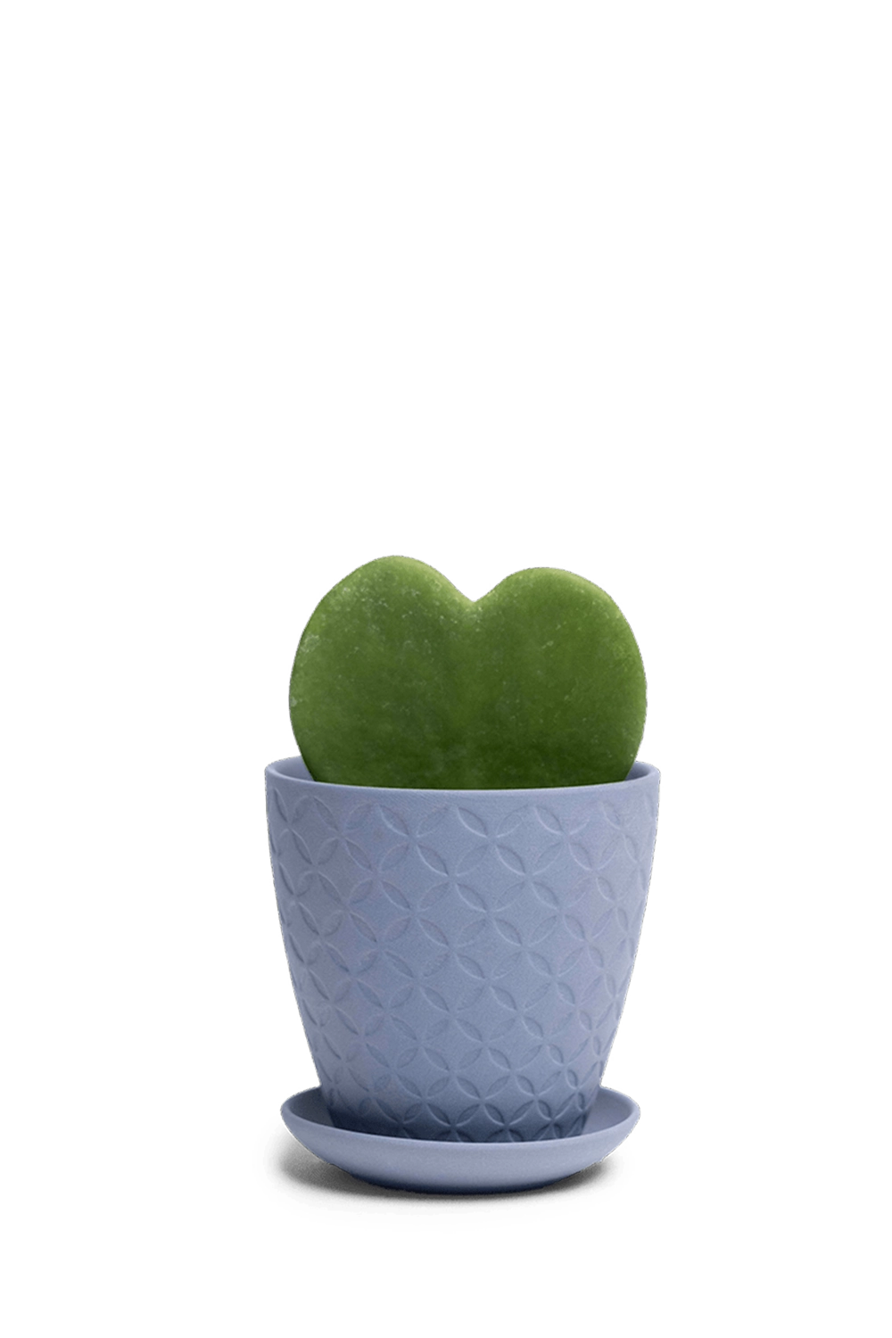 Blue Grey Porcelain Pot with Drainage Hole and Saucer - Virago - handmade by Chive Studio Toronto