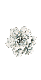 Blue White Hawthorn - May Birth Flower - handmade by Chive Studio Toronto