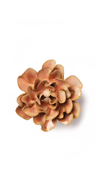 Rose Pink - Hawthorn - handmade by Chive Studio Toronto