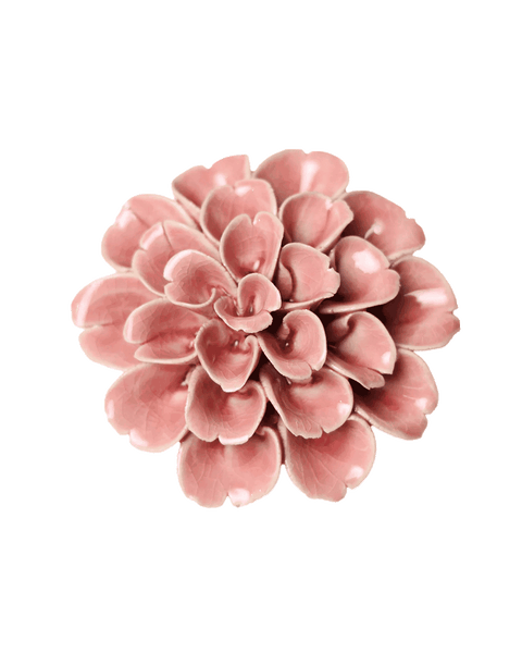 Hydrangea Symbolism | Champagne Pink Hydrangea | Chive