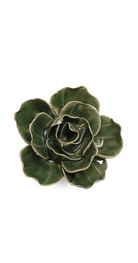 Fir Green - Butterfly Ranunculus - handmade by Chive Studio Toronto