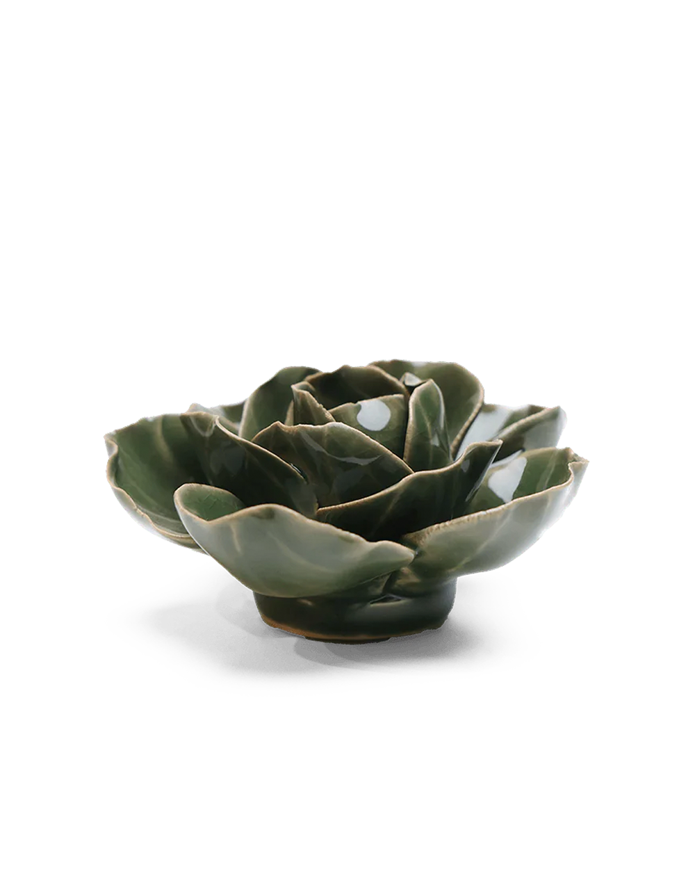 Fir Green Butterfly Ranunculus ceramic wall flower detail view — Chive Ceramics Studio