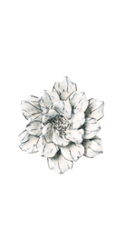 Blue White Cosmos - Coastal Collection - handmade by Chive Studio Toronto