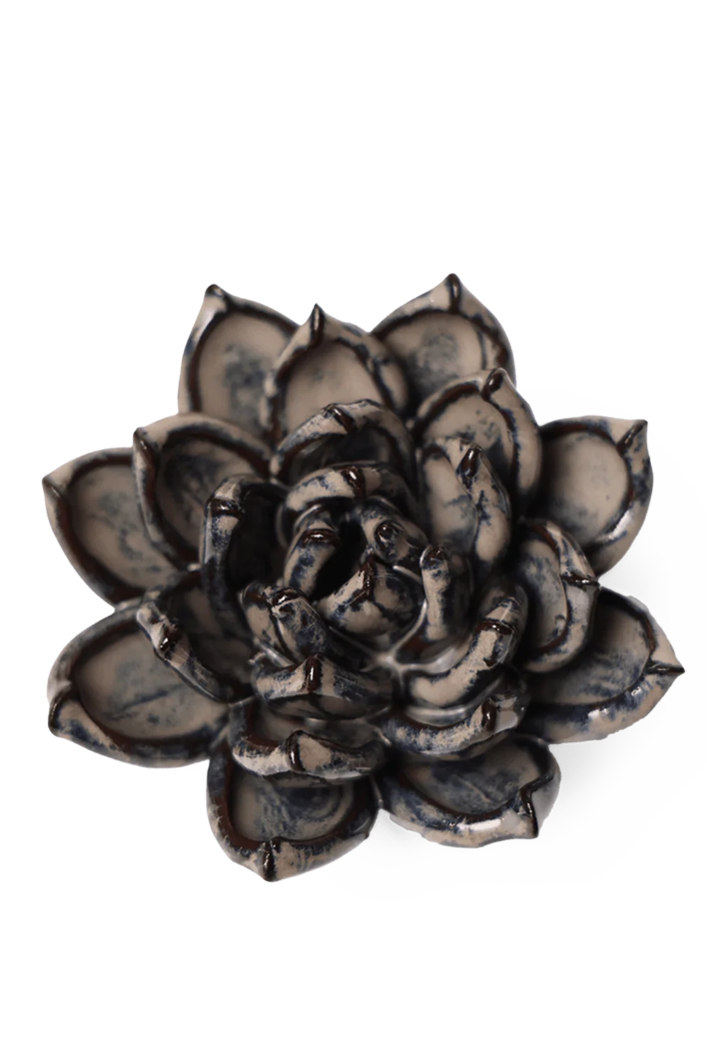 Latte Lola Echeveria - Japan Collection - handmade by Chive Studio Toronto