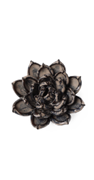 Latte - Lola Echeveria - handmade by Chive Studio Toronto