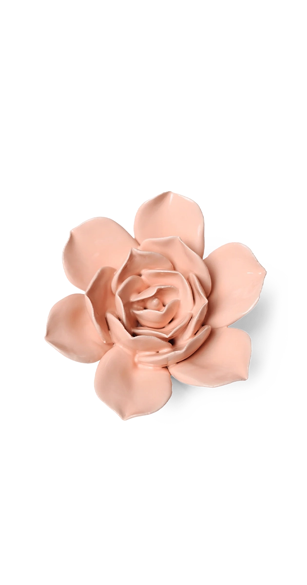 Apricot Pink - Narcissus - handmade by Chive Studio Toronto