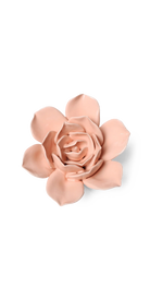 Apricot Pink - Narcissus - handmade by Chive Studio Toronto