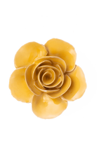 Burnt Yellow Elegance Ranunculus - France Collection - designed in Toronto by Chive Studio