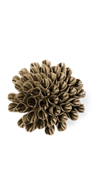 Green - Anemone - handmade by Chive Studio Toronto
