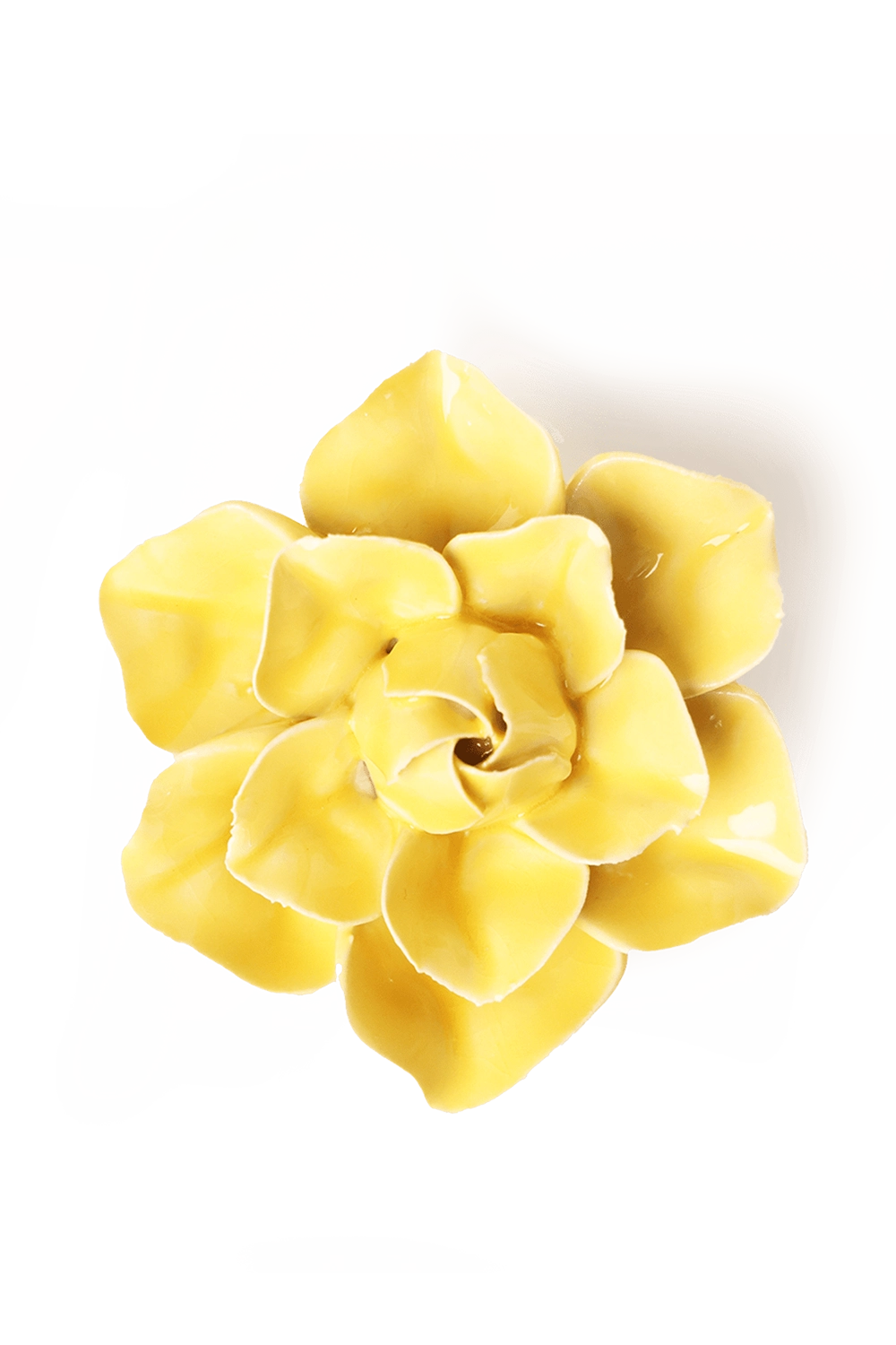 Buttercup Yellow Daffodil - English Garden Collection - handmade by Chive Studio Toronto