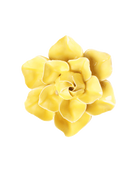 Buttercup Yellow Daffodil ceramic wall flower — English Garden Collection — Chive Ceramics Studio
