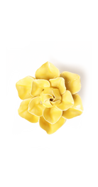 Buttercup Yellow Daffodil ceramic wall flower — English Garden Collection — Chive Ceramics Studio