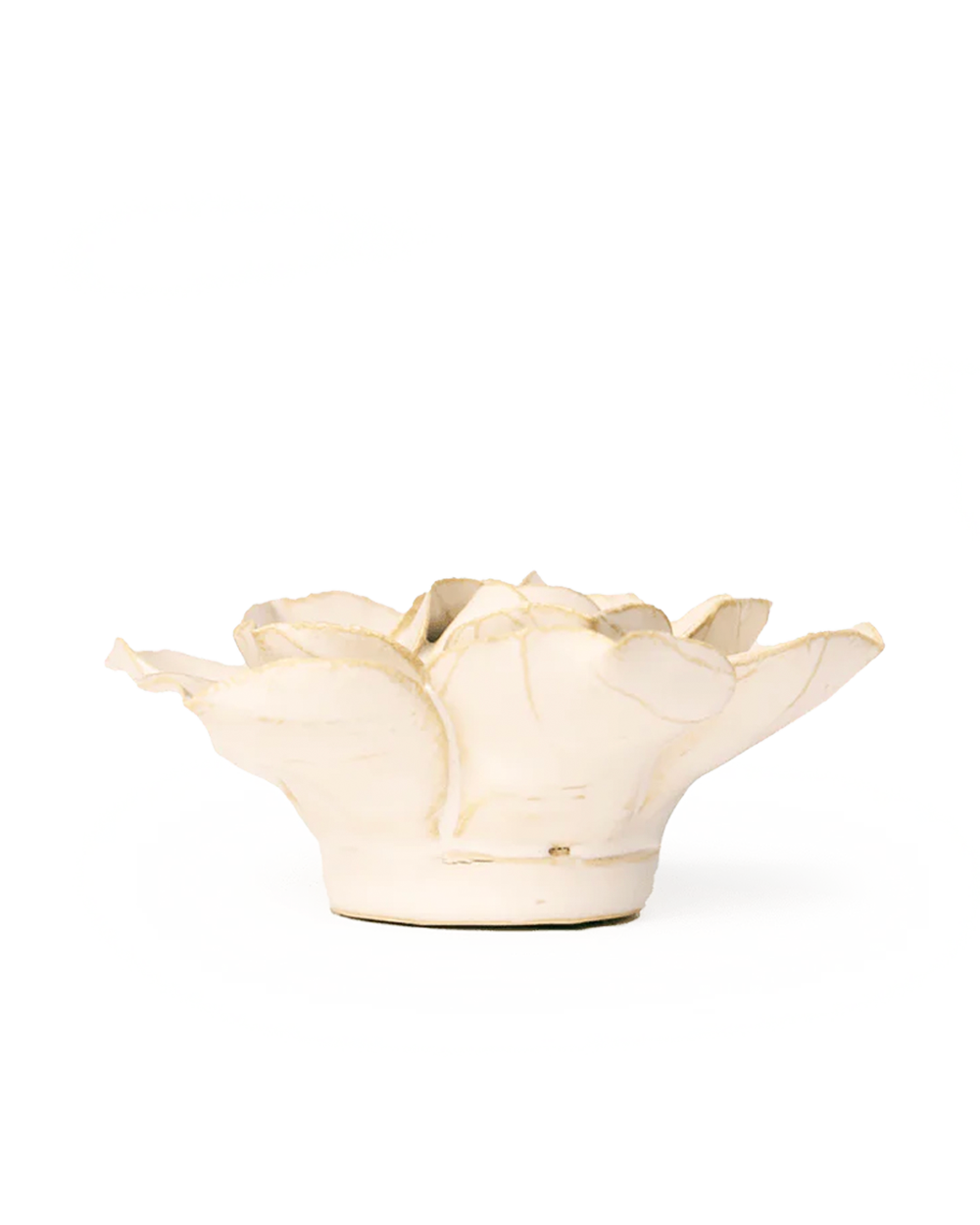 Ivory Daffodil ceramic wall flower styled display — English Garden Collection