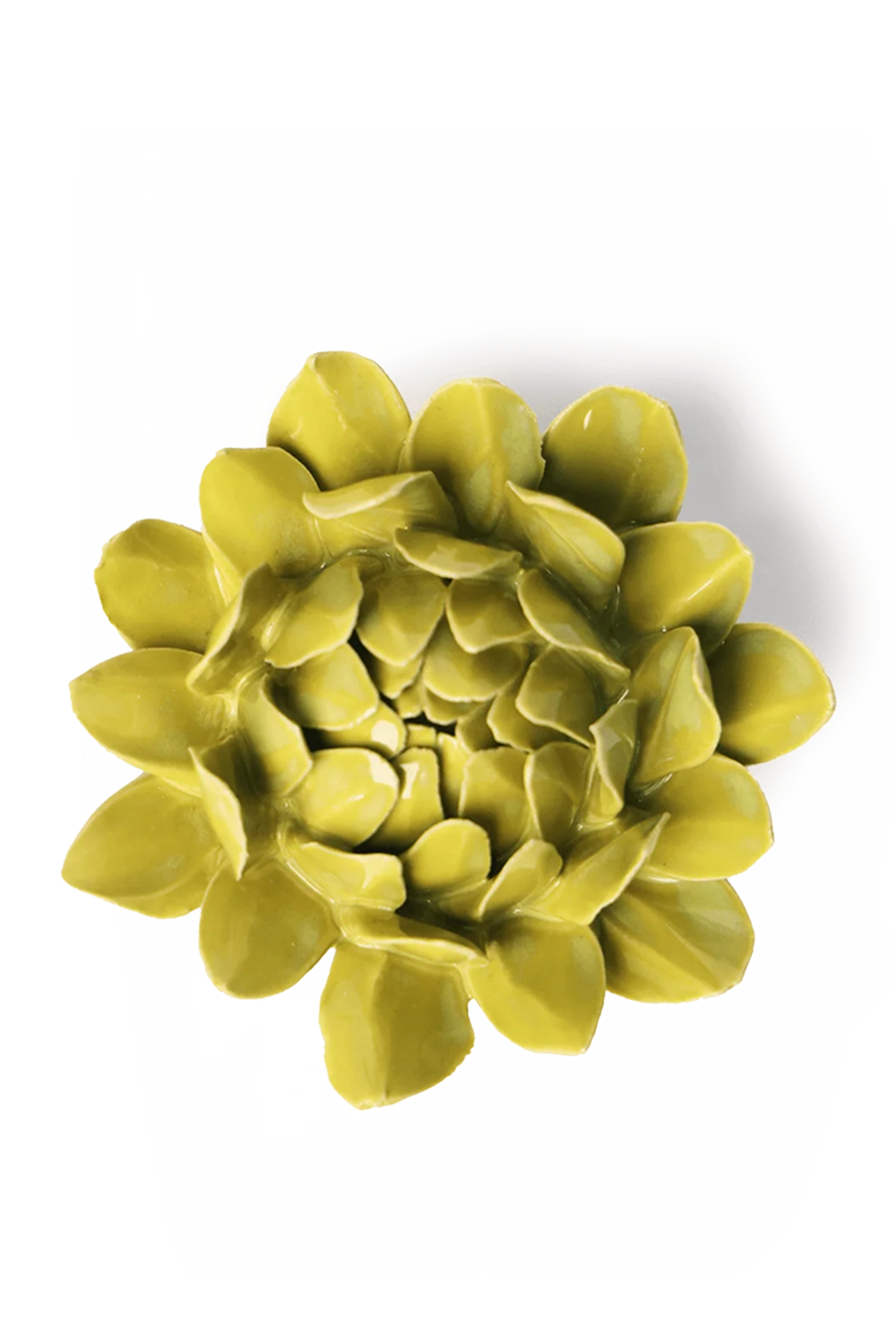 Chartreuse Sugarbush Protea - English Garden Collection - handmade by Chive Studio Toronto