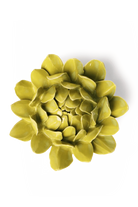 chartreuse Sugarbush Protea ceramic wall flower — English Garden Collection — handmade by Chive Studio Toronto
