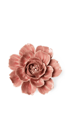 Champagne Pink - Rose - handmade by Chive Studio Toronto