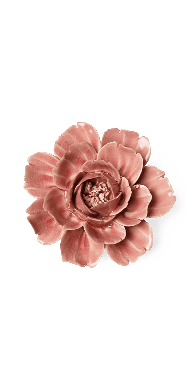 Champagne Rose Ceramic Wall Flower | English Garden | Chive