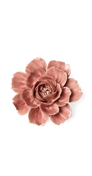 3.75-rose-champagnepink-