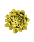 Chartreuse Sugarbush Protea ceramic wall flower — English Garden Collection — Chive Ceramics Studio