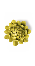 Chartreuse Sugarbush Protea ceramic wall flower — English Garden Collection — Chive Ceramics Studio