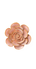 Peach Pink - Cloni Ranunculus - handmade by Chive Studio Toronto
