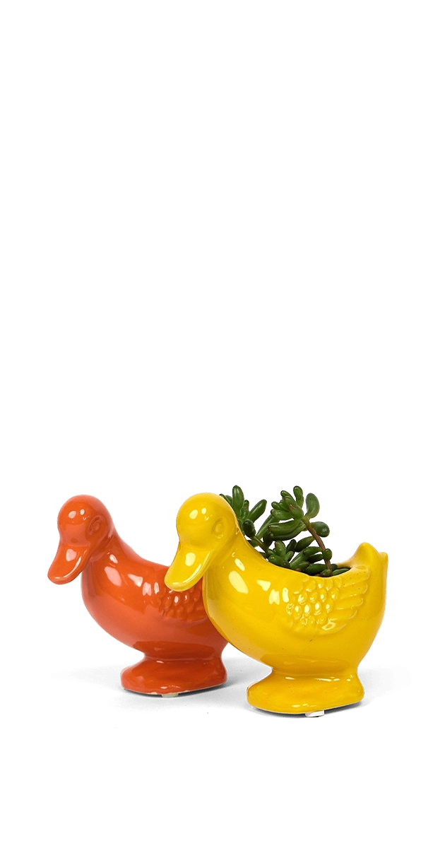 Multicolour Ceramic Indoor Plant Pot for Succulents - Duck - handmade by Chive Studio Toronto
