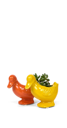Multicolour Ceramic Indoor Plant Pot for Succulents - Duck - handmade by Chive Studio Toronto