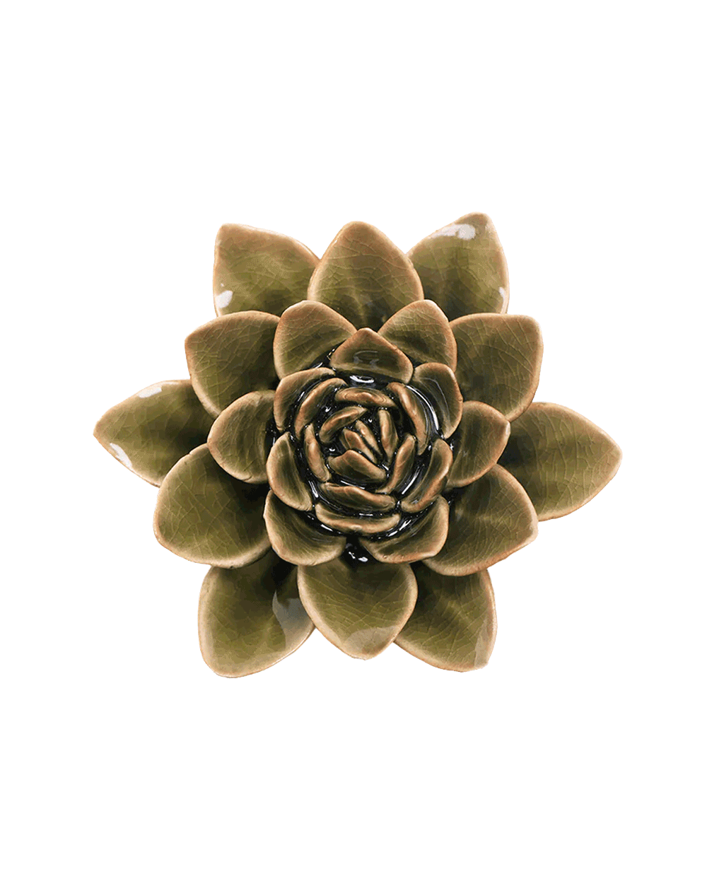 Olive Green - Echeveria - handmade by Chive Studio Toronto