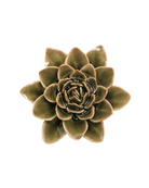 Olive Green - Echeveria - handmade by Chive Studio Toronto