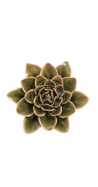 Olive Green - Echeveria - handmade by Chive Studio Toronto