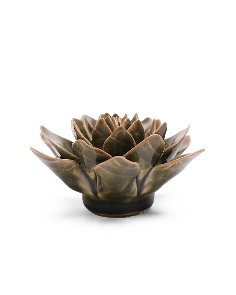 Olive Green Echeveria ceramic wall flower  — English Garden collection — designed in Toronto by Chive Studio