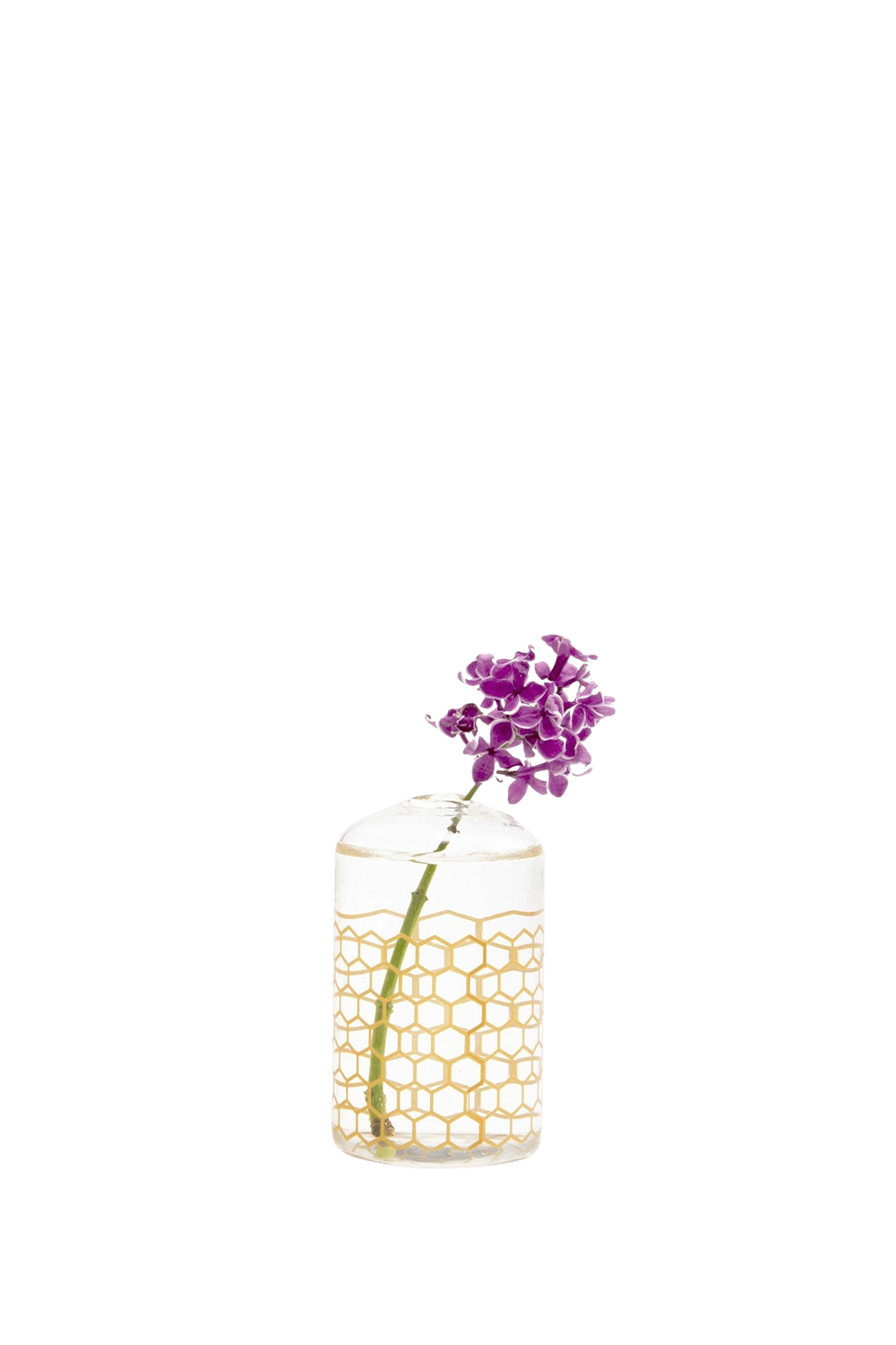 Gold Glass Bud Vase for Flowers - Elon - handmade by Chive Studio Toronto