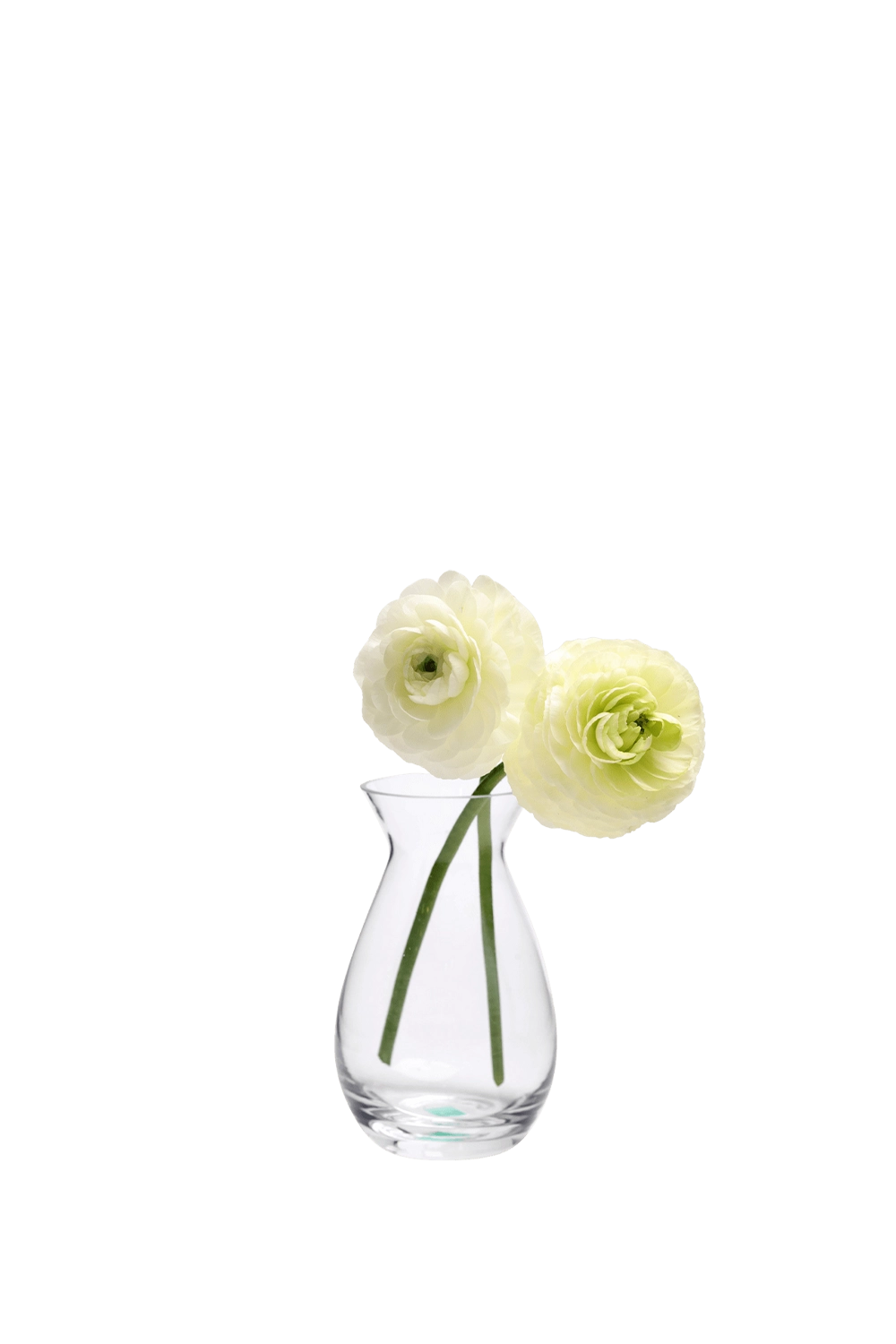 Clear Glass Bud Vase for Flowers - George - handmade by Chive Studio Toronto