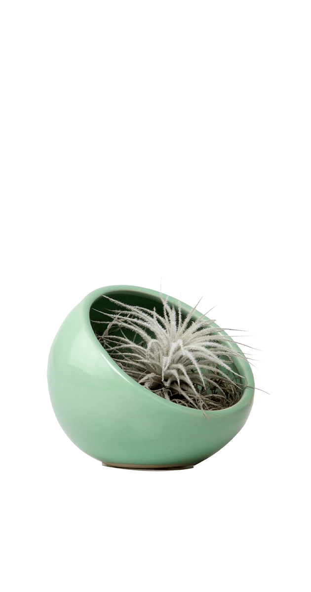 Green - Half Moon - handmade by Chive Studio Toronto