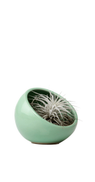 Green - Half Moon - handmade by Chive Studio Toronto