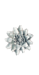 Blue White - King Protea - handmade by Chive Studio Toronto