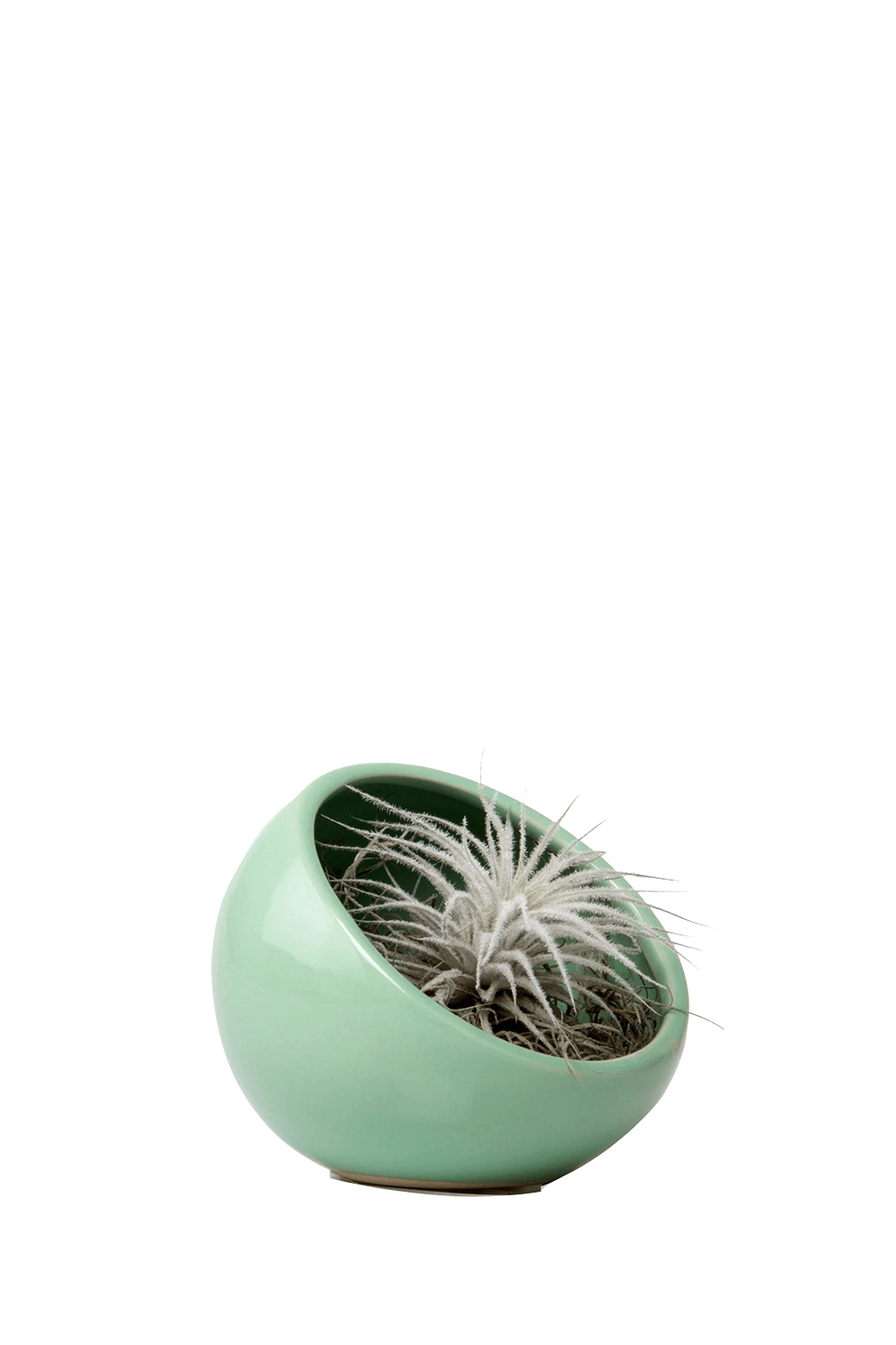 Green Ceramic Terrarium Bowl - Half Moon - handmade by Chive Studio Toronto