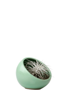 Green Ceramic Terrarium Bowl - Half Moon - handmade by Chive Studio Toronto