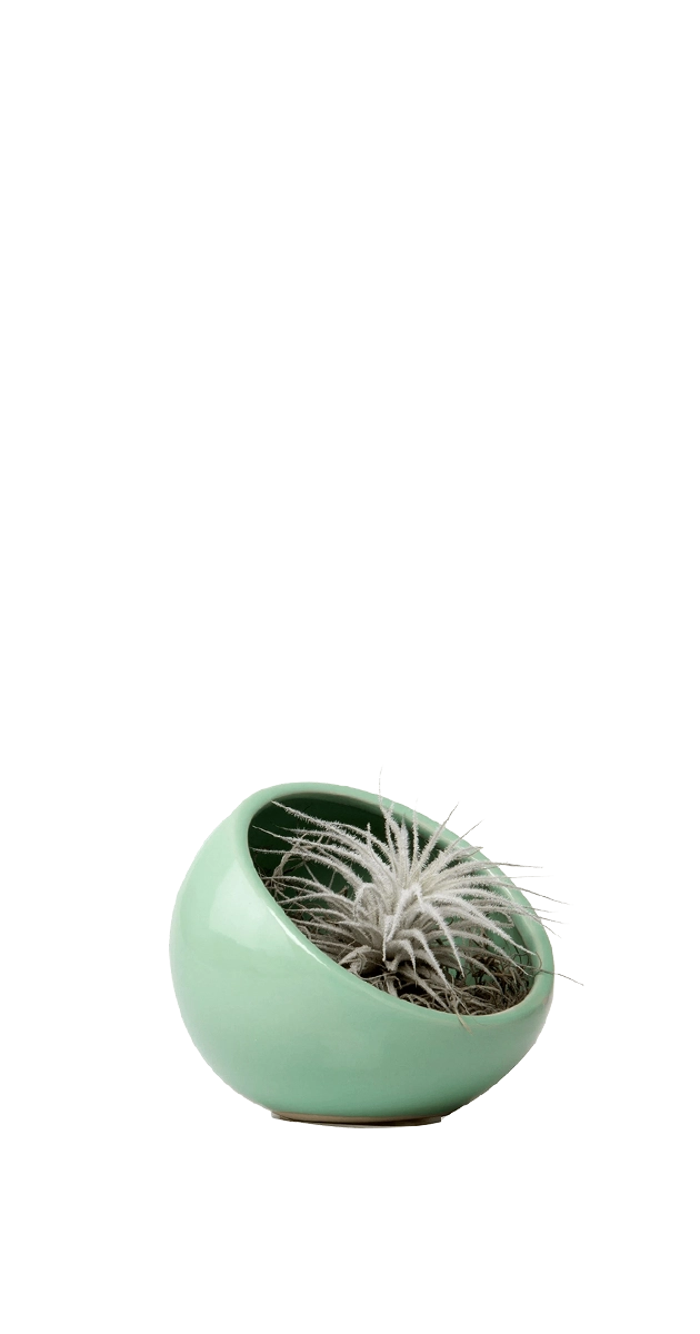 Green Ceramic Terrarium Bowl - Half Moon - handmade by Chive Studio Toronto