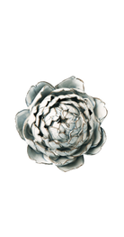 Blue White Queen Protea - Coastal Collection - handmade by Chive Studio Toronto