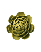 Chartreuse Queen Protea ceramic wall flower — English Garden Collection — Chive Ceramics Studio