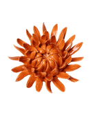 Orange - Sarah Mum - handmade by Chive Studio Toronto