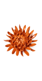 Orange - Sarah Mum - handmade by Chive Studio Toronto