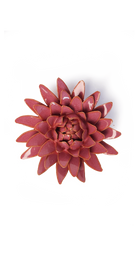 Blush Pink - Strawflower - handmade by Chive Studio Toronto